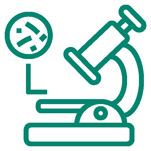 Microscope